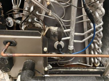 Mold Reduction System Repair in Lake Worth, FL (2)